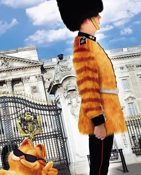 加菲猫2:两只猫的故事