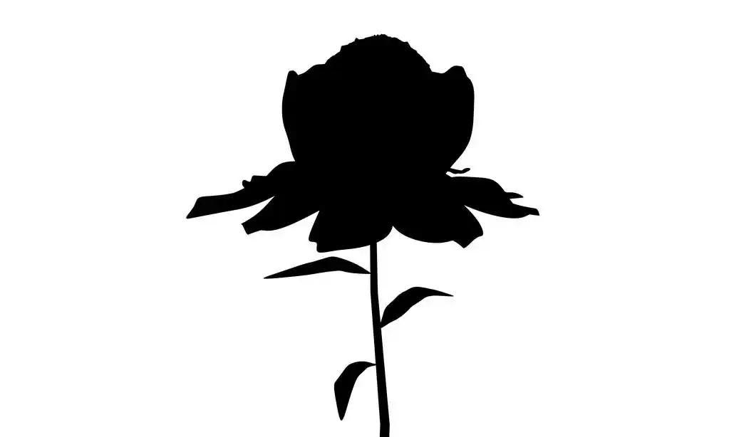 花卉剪影,illustrution 的一个孤立的白色背景上的花剪影