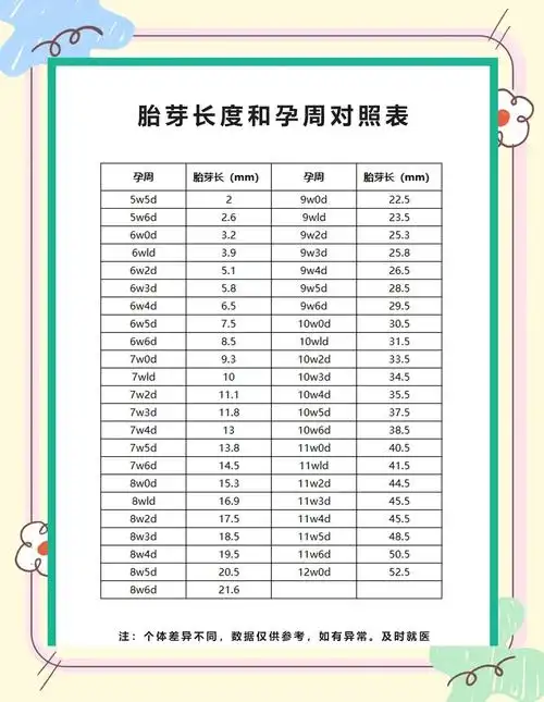 胎芽长度与孕周对照表:孕妈必看指南
