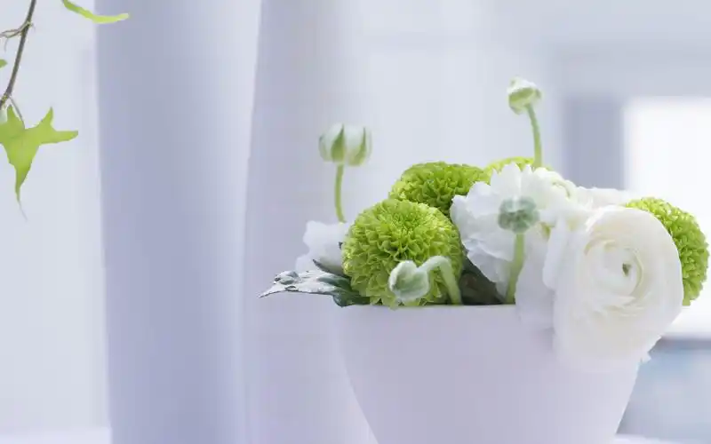 我把我的花,送给你好吗 小清新壁纸_唯美图片