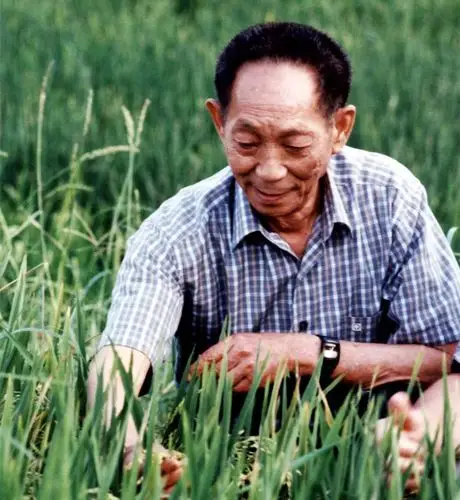 袁隆平走了他为之奋斗一生的全球饥饿问题离彻底解决还有多远