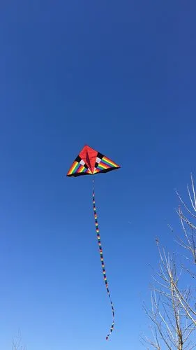 春,赋予风筝独特的魅力,蓝天下的身形,飘逸,灵动,一根线的牵记,托起