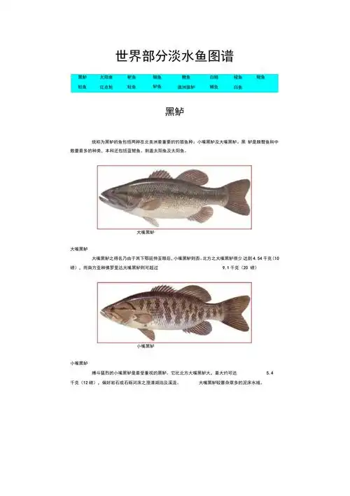 世界部分淡水鱼图谱汇编