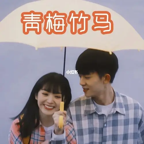 《小温暖》 作者:鹿随  主角:韩江 温颜书名:《屋顶上的野月亮》作者