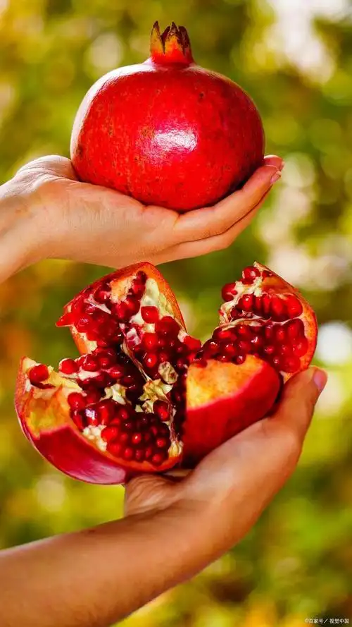 石榴是什么?一种口感丰富又健康美味的水果!