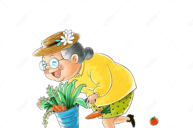 类目:                                             表情包