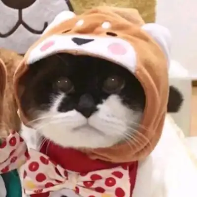 情侣头像卡通呆萌一对沙雕动物