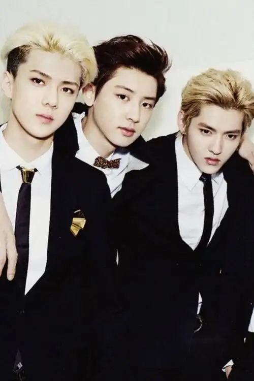 exo朴灿烈吴世勋吴亦凡