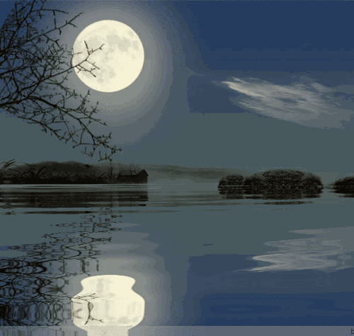 那一年 我播种了一枚月亮