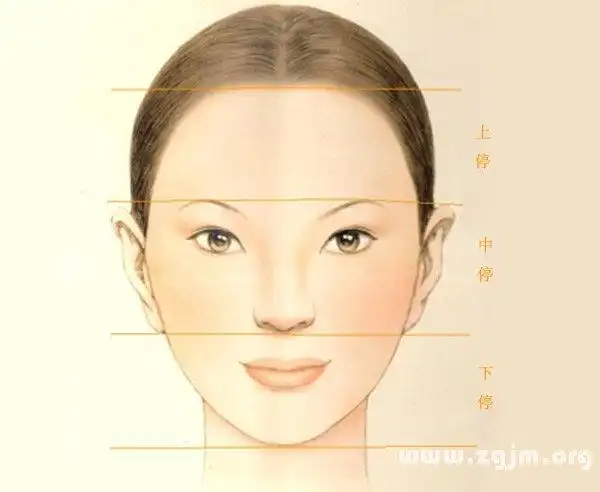 脸的三分法表示年代运   由一个人的脸型大致判断出的性格和婚姻状况