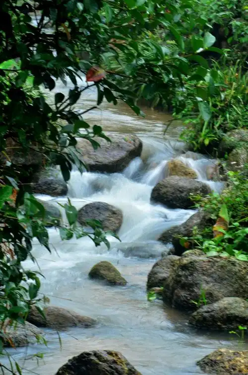 《泉水叮咚》〈2018年〉 山人摄影