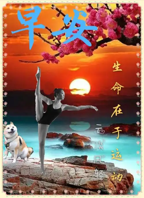 我的早安问候图片集 - 美篇