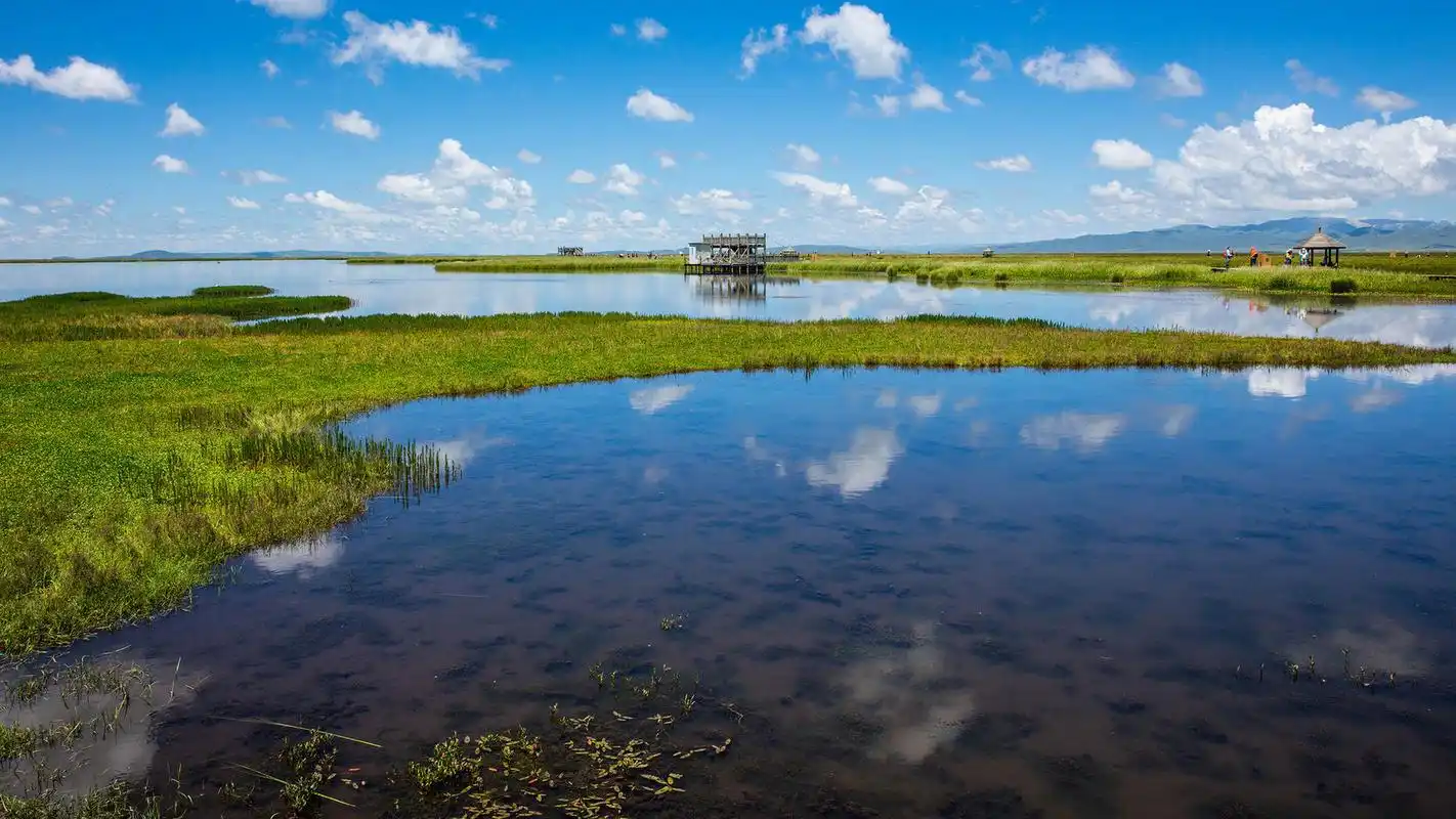 四川若尔盖花湖风景高清桌面壁纸