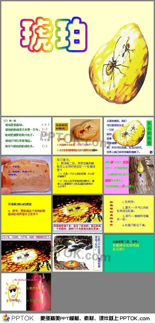 《琥珀》ppt课件4
