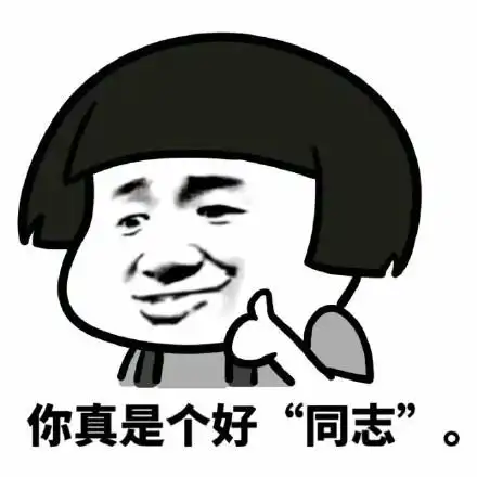 你真是个好同志_同志_真是表情