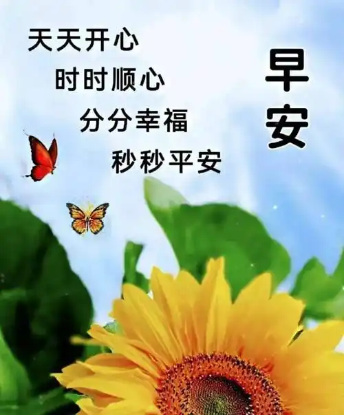 9张非常好看免打字的早上好祝福图片带字温馨 2024唯美夏天早安问候