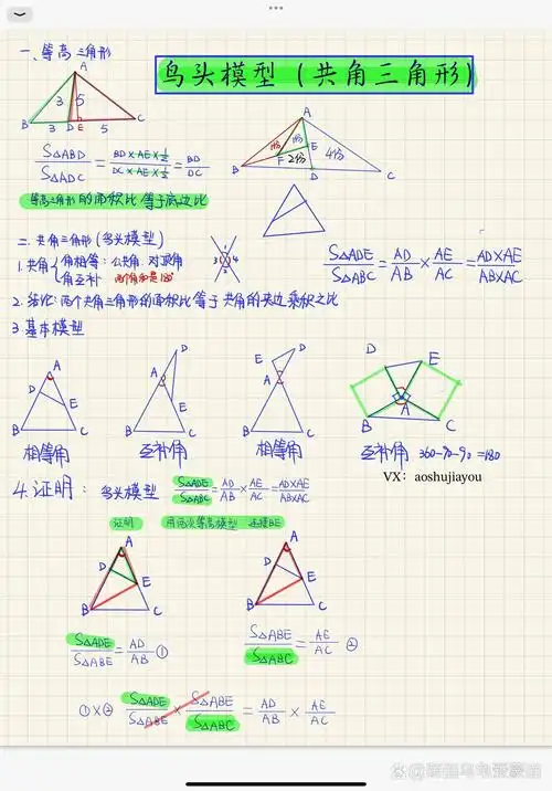 鸟头模型 共角三角形