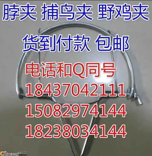 捕鸟夹子多少钱捕鸟夹制作鸟夹制作方法捕鸟夹子制作方法打鸟夹子鸟