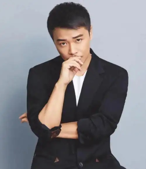 陈思诚演艺经历