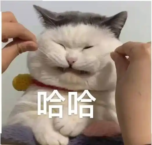 超搞笑趣味表情包 | 我可爱吗?_熊猫头_生活_因为