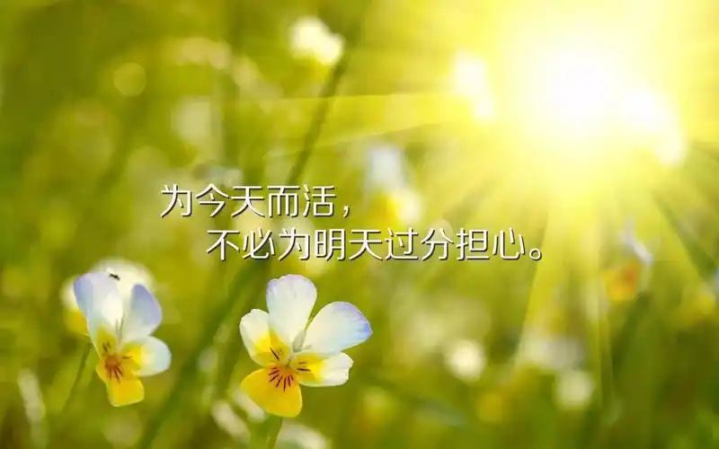 朋友圈激励人心的早安励志经典语录 - 对不起,我爱你的主页