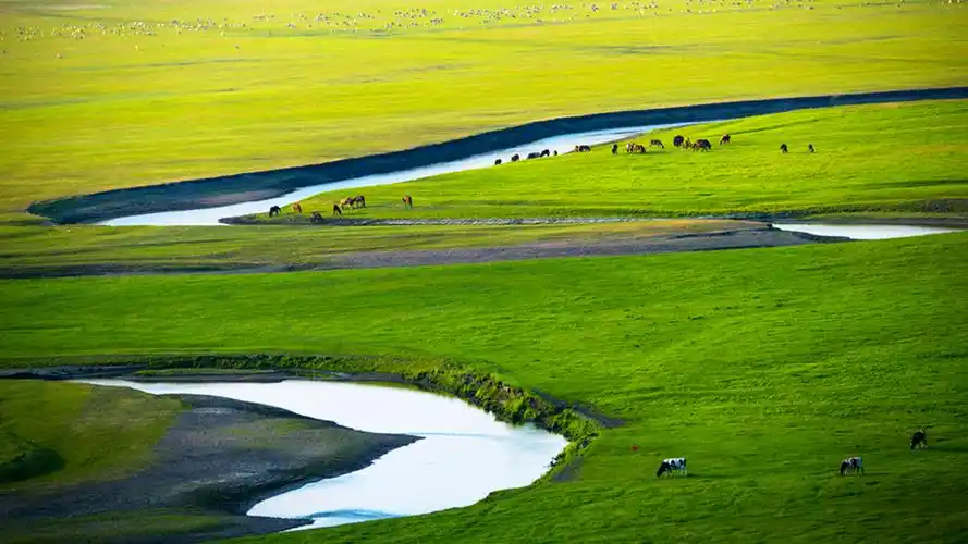 呼伦贝尔大草原唯美风景图片桌面壁纸高清大图预览1920x1080_风景壁纸