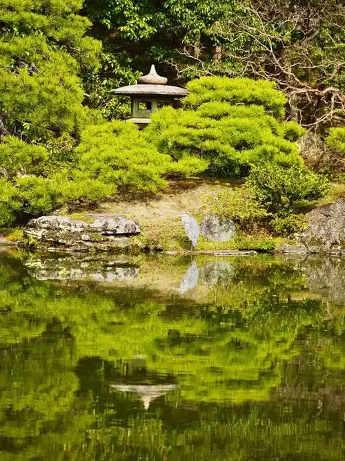京都美景像绘画一样的庭园京都御苑