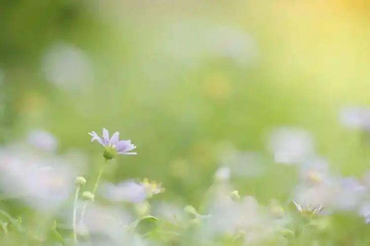 每晚的舒心钢琴声微光含蓄温婉柔和舒缓