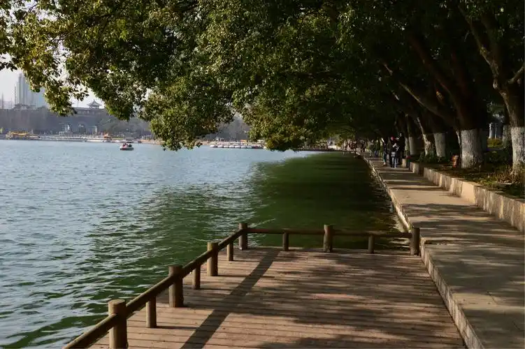 最南京之玄武湖图片315,江苏省旅游景点,风景名胜 - 蚂蜂窝图库