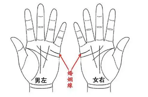 只有一条婚姻线:不会有二婚假如你们的手相中只有一条婚姻线,而这条线