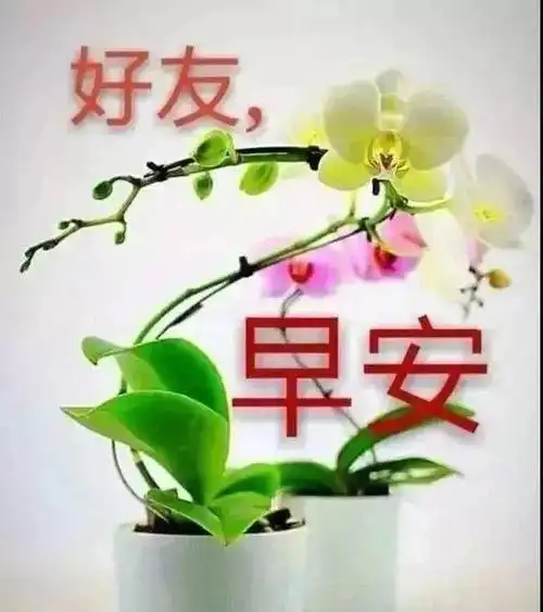 8张 有创意好看的朋友圈早安问候祝福表情图片带字 免打字的友谊早安