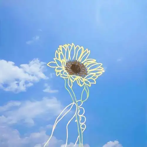 早上充满阳光的句子温暖美好沁人心脾