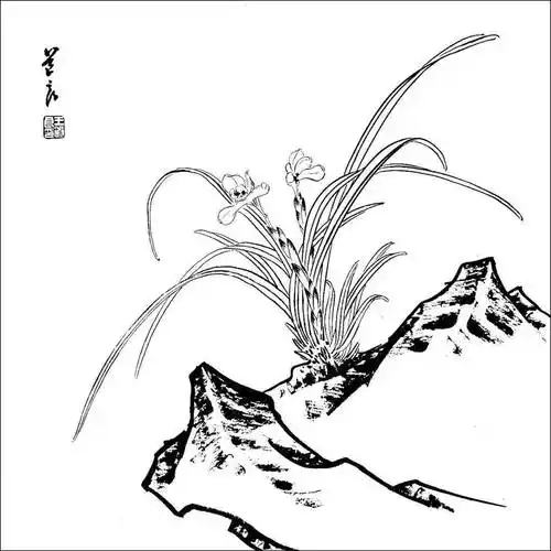 花鸟的白描,就应该这么画