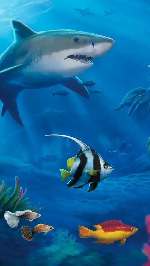 1 2 3 4 5 ( 26 人评分) 所属分类:动物与鸟  , 鲨鱼 标签: 水下世界