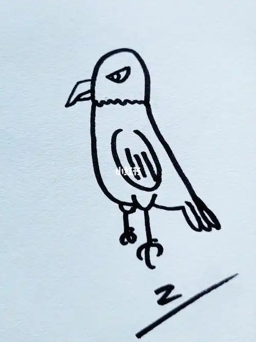 简笔画老鹰