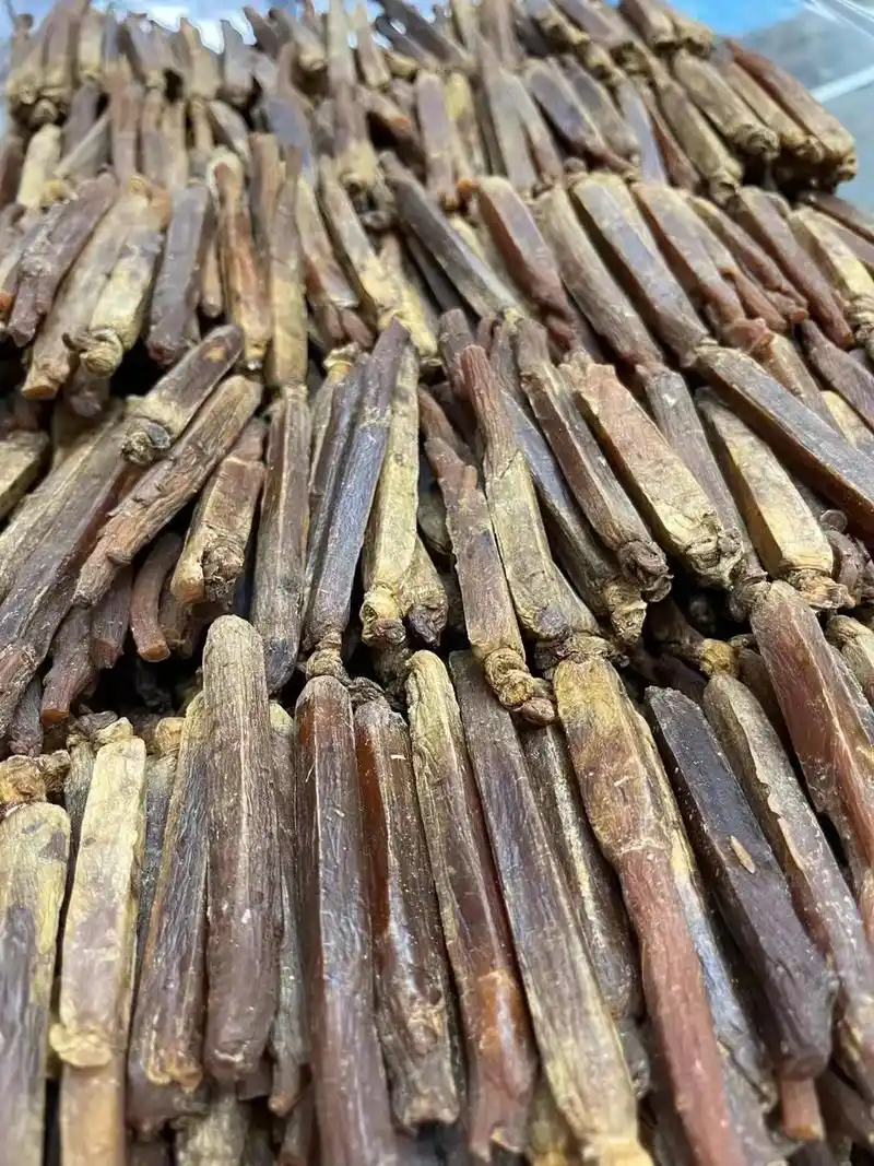 无糖红参.无糖红参条,条形雅,味道香,质量货红参是人参的熟 - 抖音