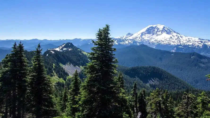 阿拉斯加,山,树,森林,蓝天,美国 壁纸 - 1920x1080 全高清