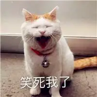 情侣头像搞笑逗比动物图片带字的这时候应该装傻