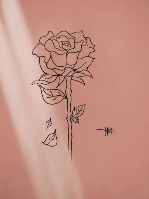 简笔画丨山茶花手绘