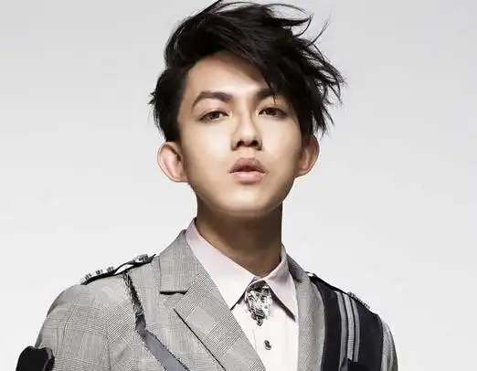 林宥嘉个人资料简介林宥嘉邓紫棋分手原因