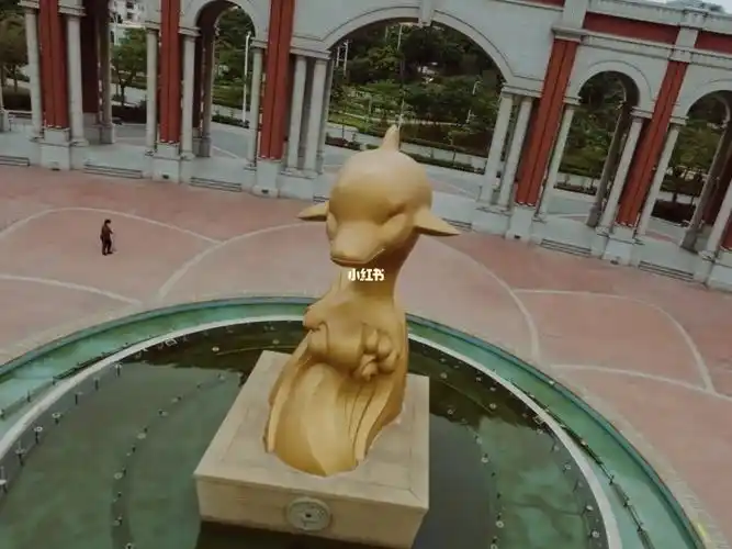 008avata金海豚广场飞吐记