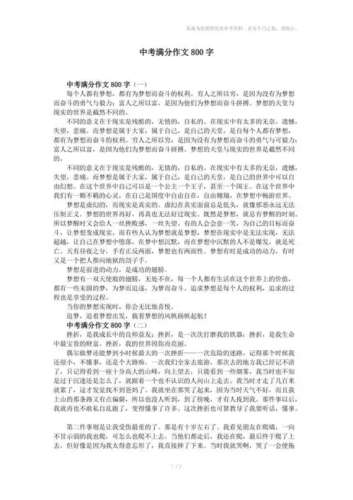 中考满分作文800字