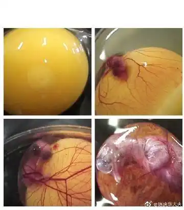 2019-9-10 来自 陈庆华大夫超话 已编辑