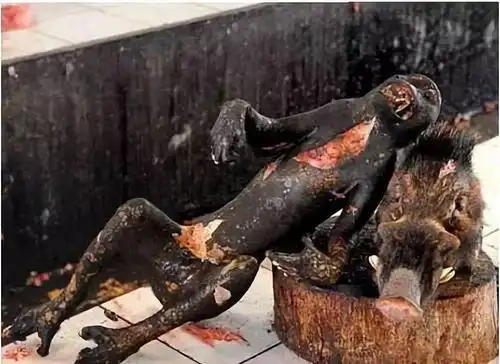 元素公益中缅边境最吓人的菜市场只敢看不敢买