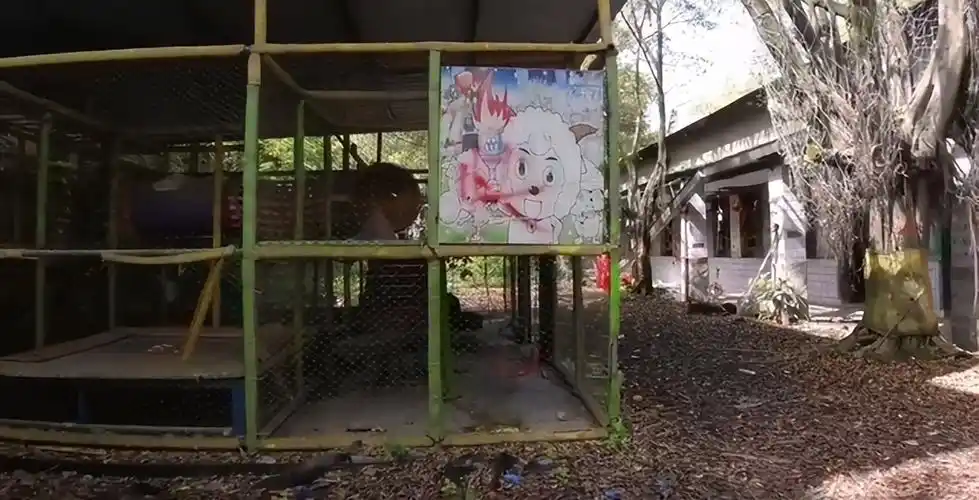 红太阳幼儿园诡异事件(2012年红太阳幼儿园事件) - 泉兴百科