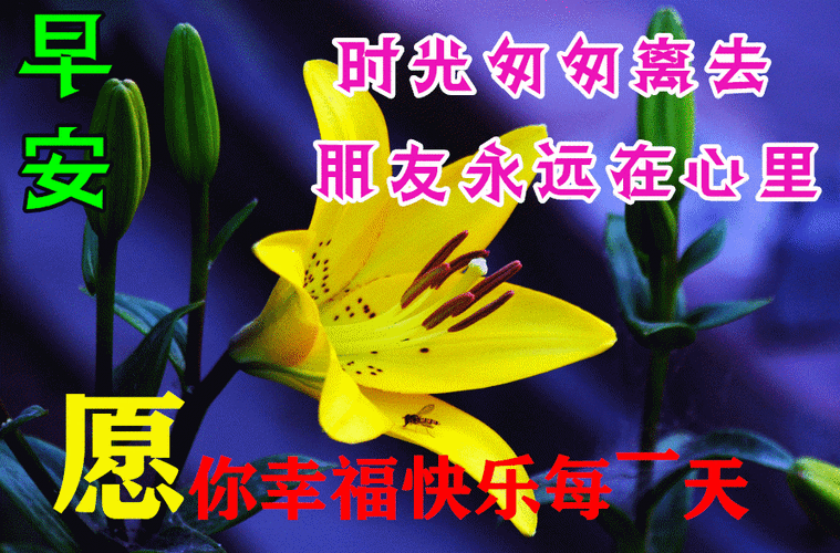 友情祝福图片唯美句子珍惜友情的唯美句子图片