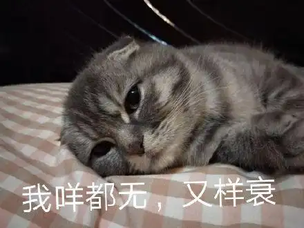 我咩都无 又穷又样衰表情包 - 我咩都无 又穷又样衰微信表情包 - 我咩