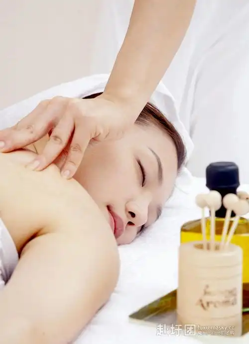 pa机通经排毒 肩颈spa机通经排湿 改善皮肤暗