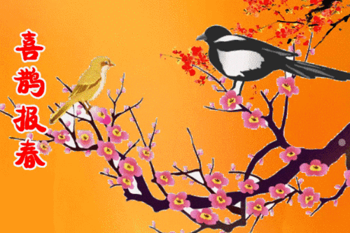 599_399gif 动态图 动图