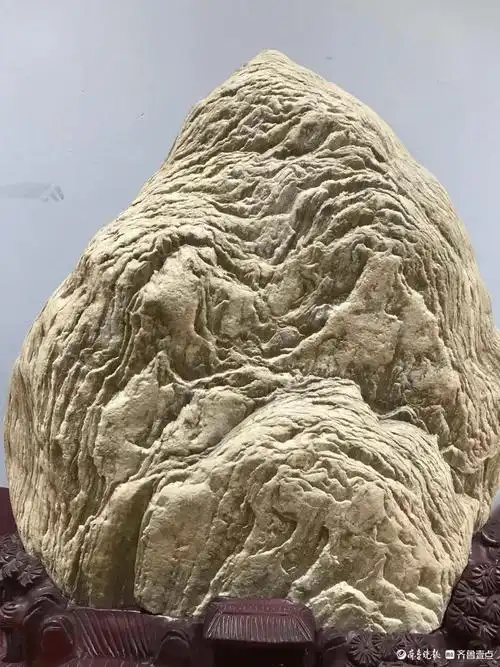 石头里的大千世界_奇石_陈文进_样貌